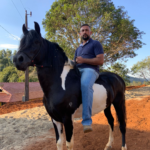 Autor avatar
